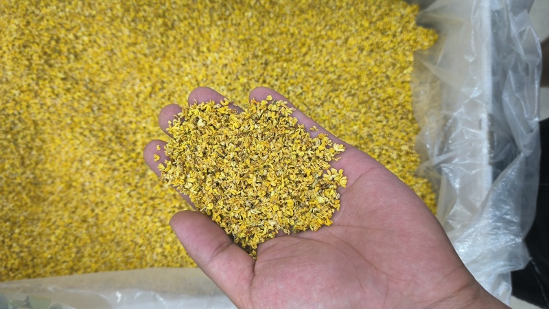 桂花干桂花桂花茶无硫质量保证批发零售各种花茶