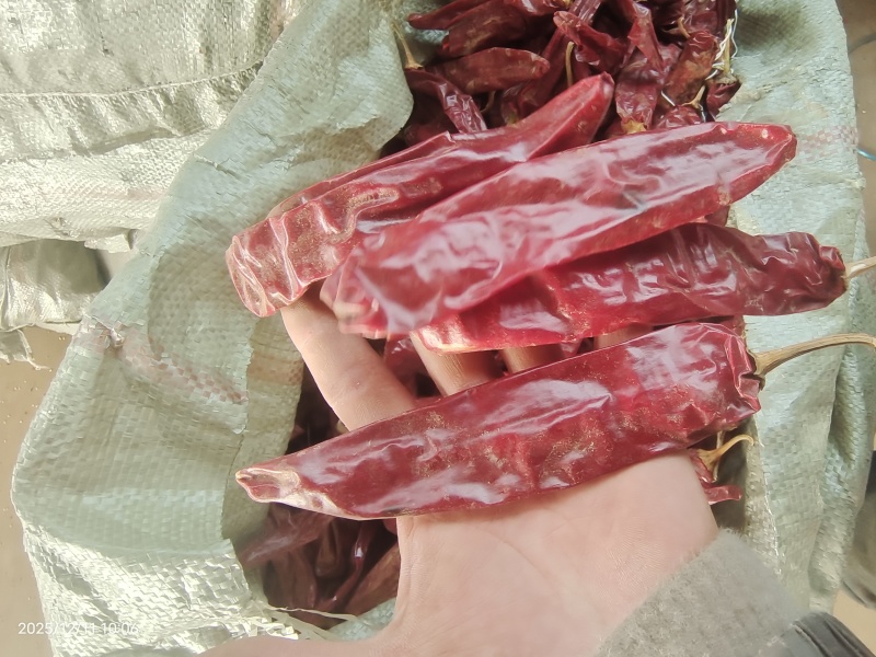 精品红龙23干辣椒，上色红干辣椒，高色价里外红，人工去把