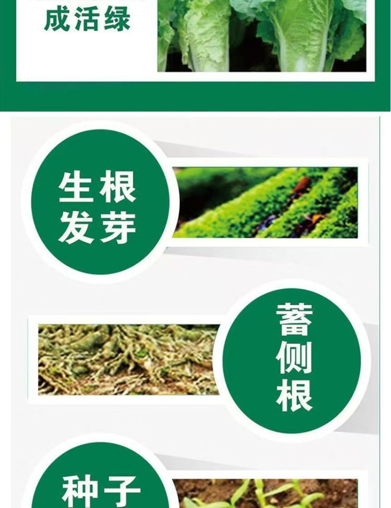 10%调环酸钙生长调理剂控旺调节