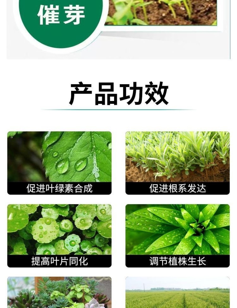 10%调环酸钙生长调理剂控旺调节