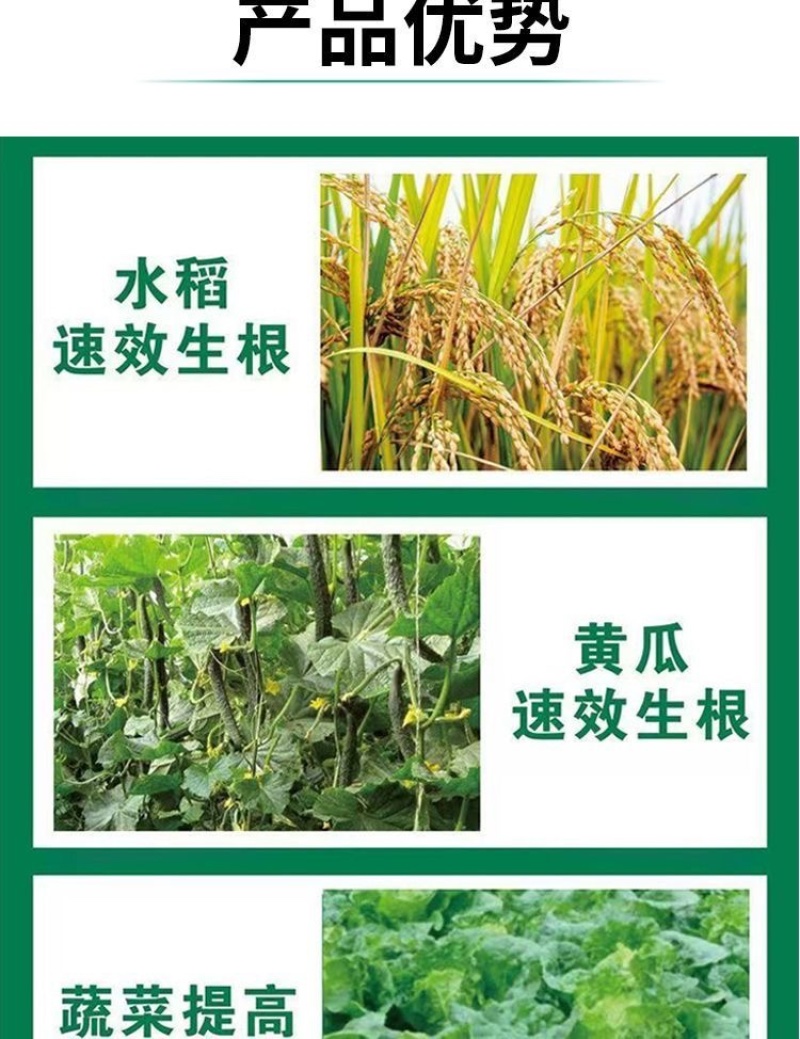 10%调环酸钙生长调理剂控旺调节