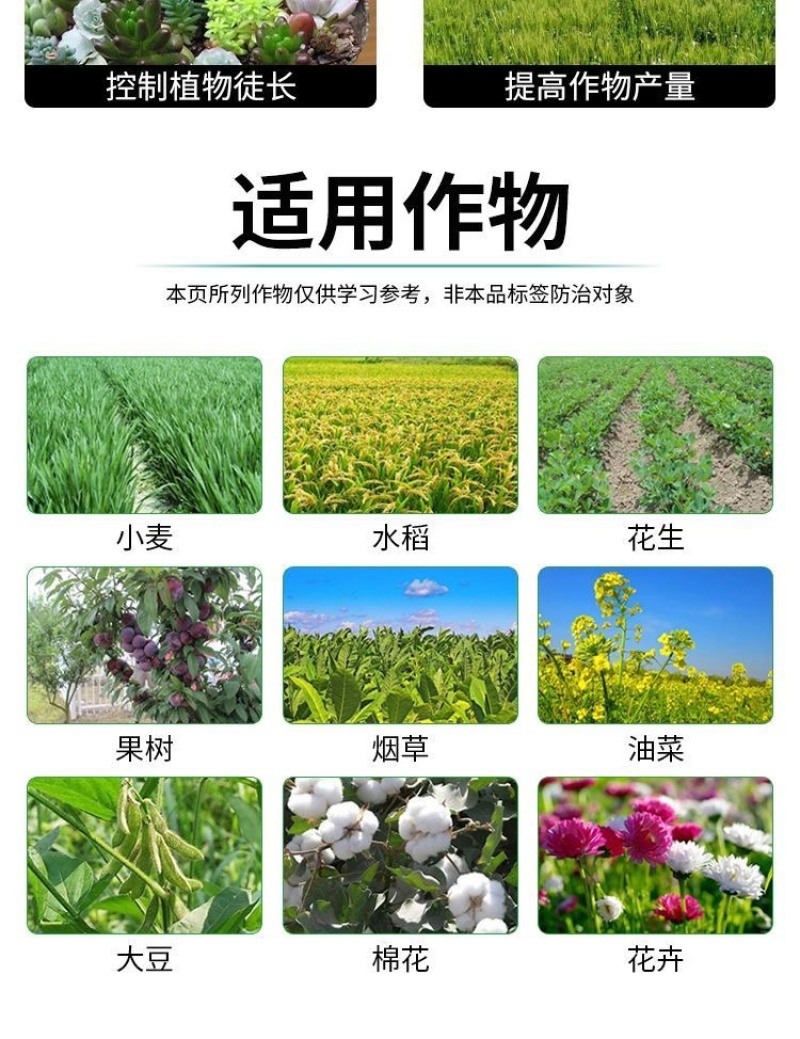 10%调环酸钙生长调理剂控旺调节