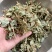 金钱草广金钱草批发零售保证质量10公斤以上更划算