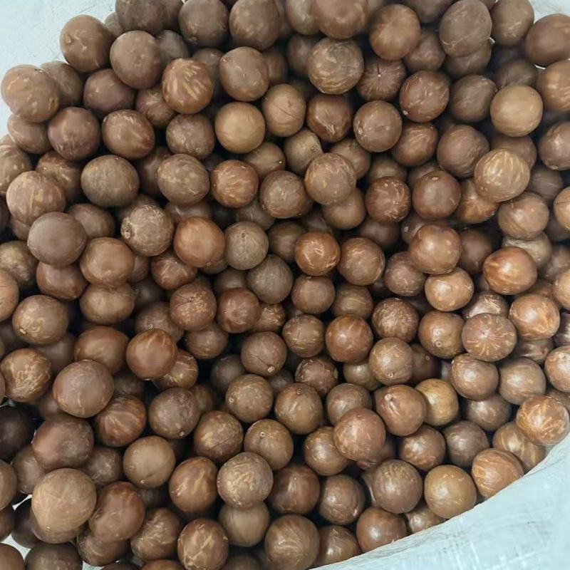 夏威夷坚果大量批发全国各地，散装袋子装。