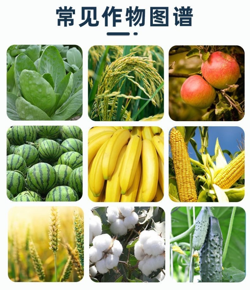 1.8%复硝酚钠生长调节剂调节作物生长增产