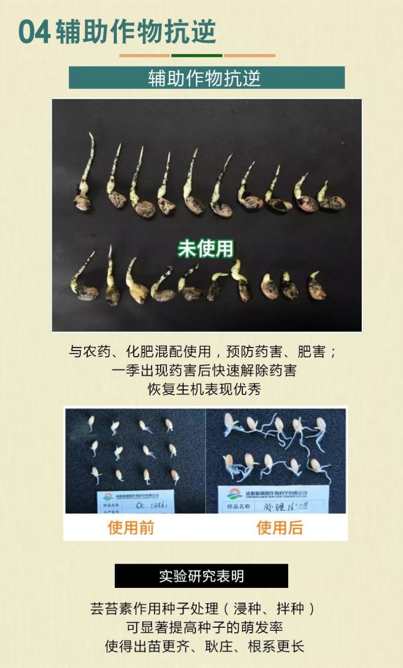 24表芸苔素内脂促花保果不伤作物