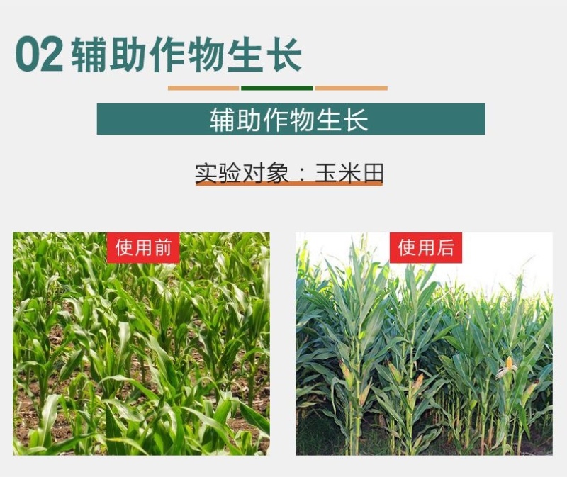 24表芸苔素内脂促花保果不伤作物