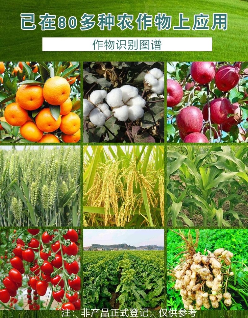 24表芸苔素内脂促花保果不伤作物