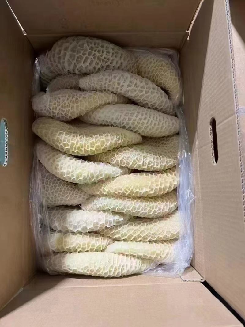 金钱肚