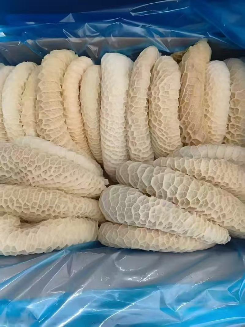 金钱肚