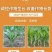 14羟基芸苔素增产生根促苗调节平衡