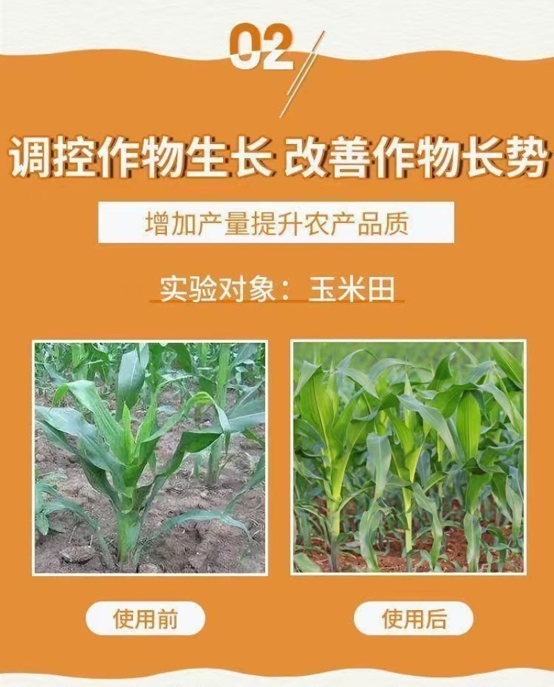 14羟基芸苔素增产生根促苗调节平衡