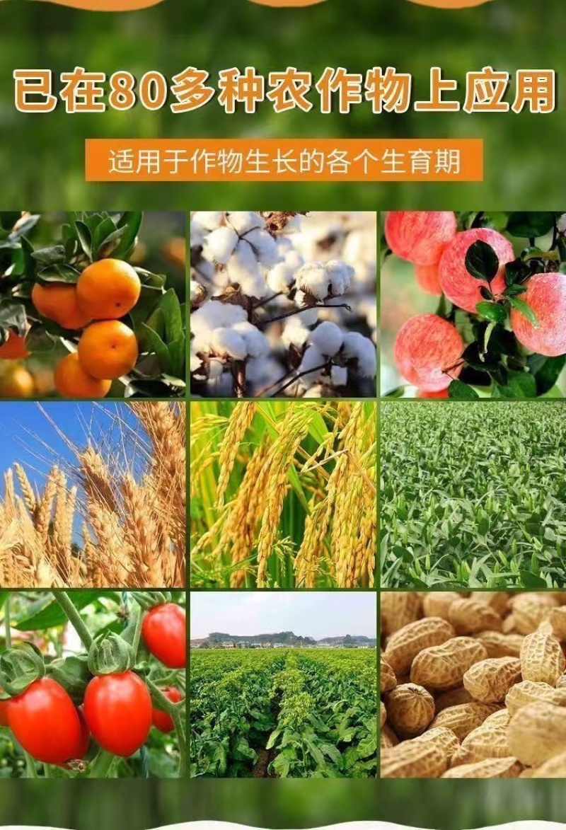 14羟基芸苔素增产生根促苗调节平衡