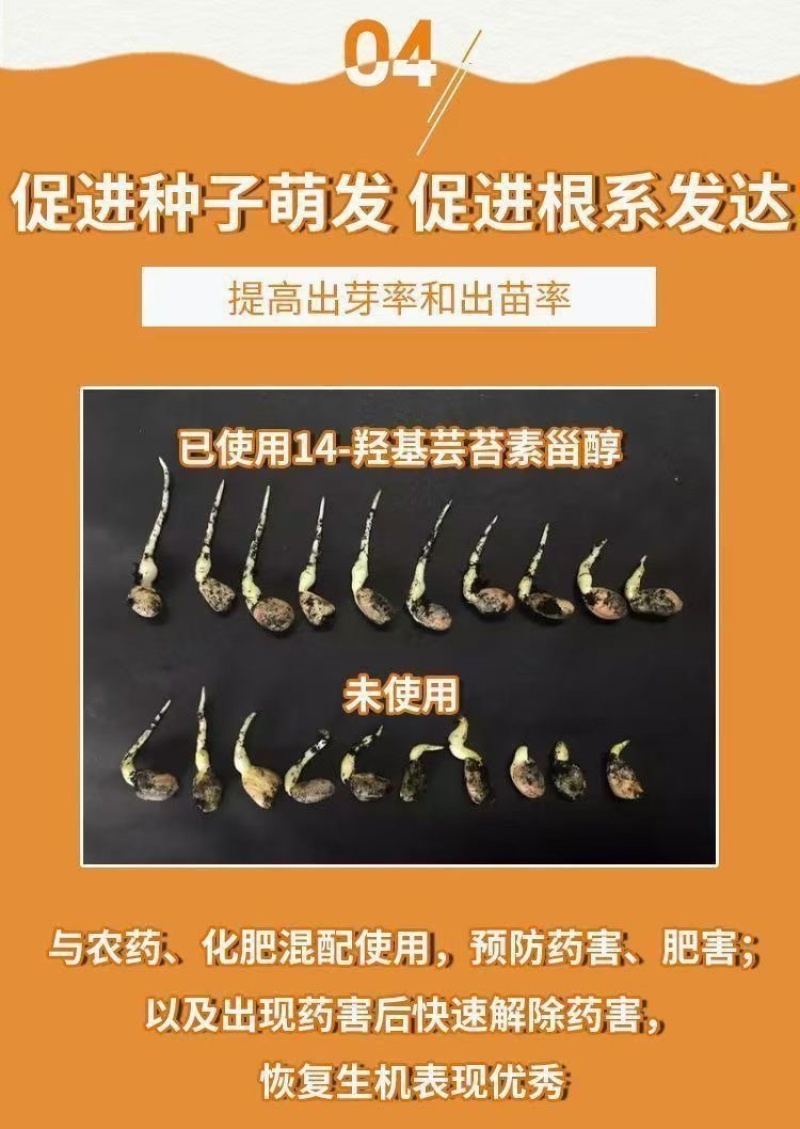 14羟基芸苔素增产生根促苗调节平衡