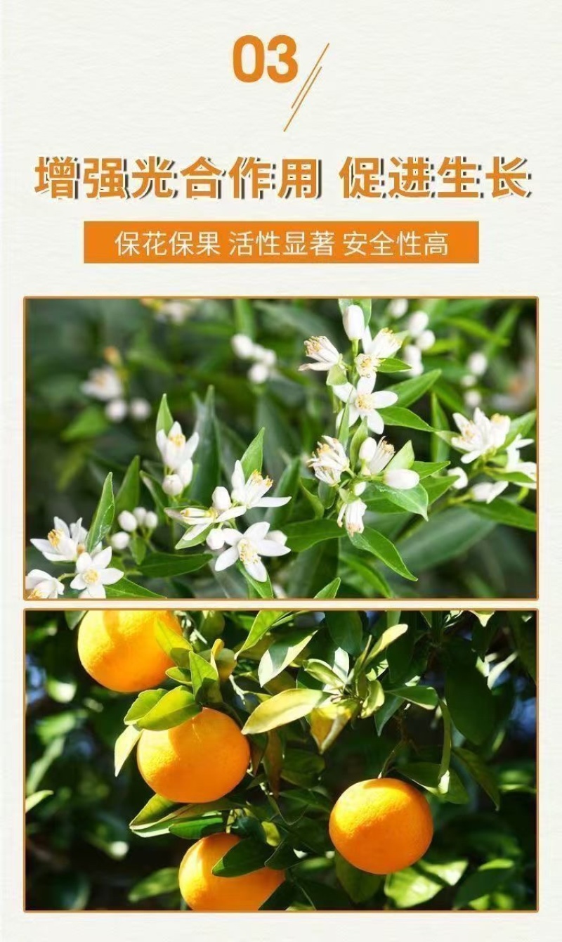 14羟基芸苔素增产生根促苗调节平衡