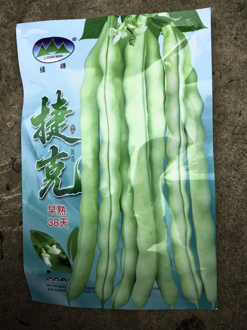 早熟38天架豆种子捷克春不老早春白荚绿色四季豆芸豆春秋豆