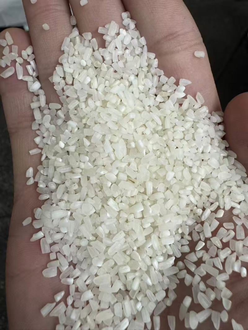 俊佳缅甸碎米厂家直销质量稳定长期有货