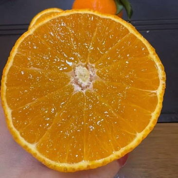 爱媛果冻橙原产地