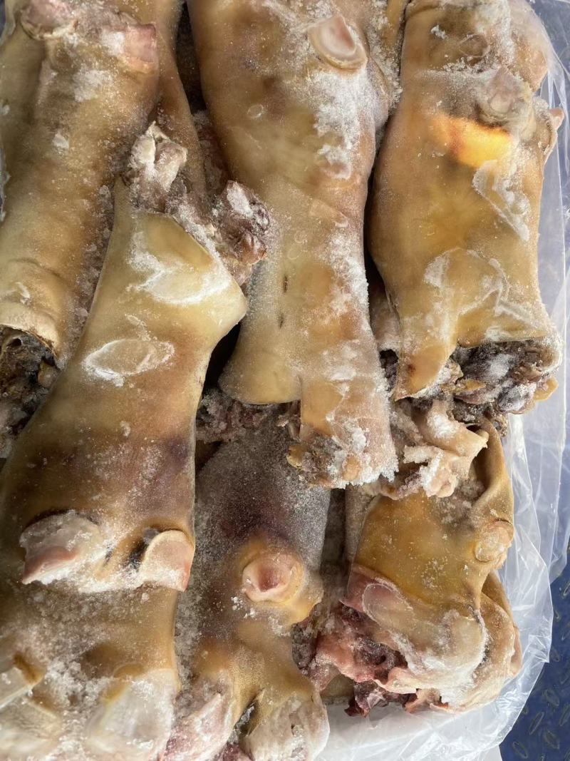 精品火烧去骨牛蹄带福筋