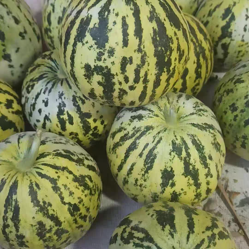 花甜花美花皮杂交品种长势强健果面光滑含糖18度