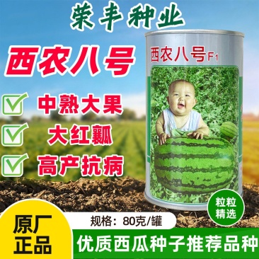 荣丰西农八号西瓜种子特大超甜西瓜种子抗病高产露地大棚种石