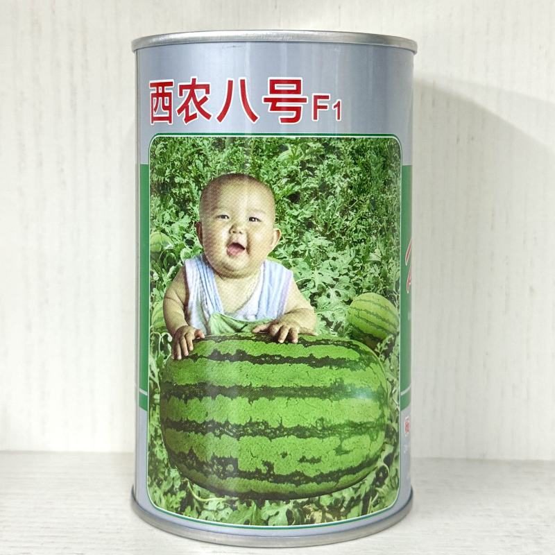 荣丰西农八号西瓜种子特大超甜西瓜种子抗病高产露地大棚种石