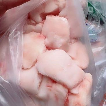 猪蘑菇筋