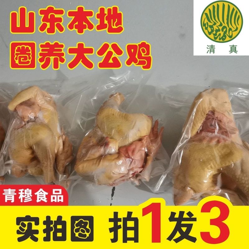 圈养农家大公鸡现宰生鲜整只山东笨鸡土鸡