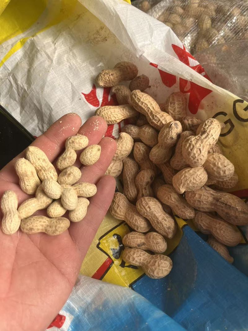 干炒花生铁锅炒花生柴火炒花生熟花生电商批发一件代发