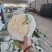 精品有机花菜松花菜大量供应质量保证对接市场商超电商等