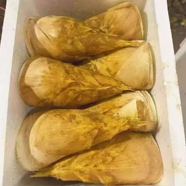 新鲜冬笋大量上市