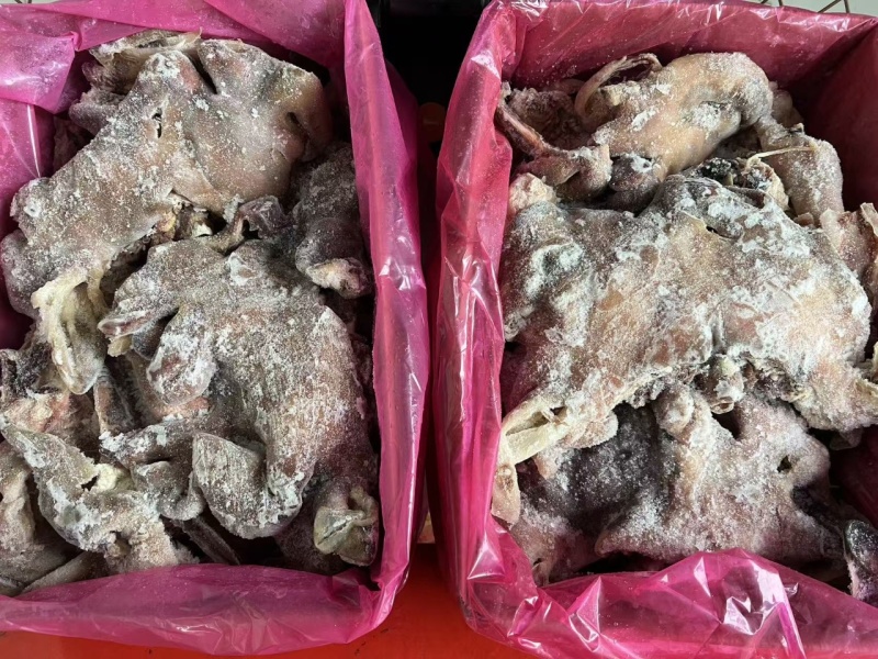 精品花羊头肉