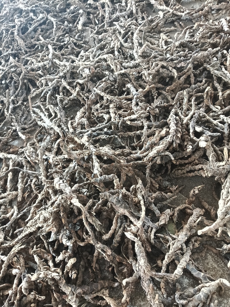 香昌蒲干货