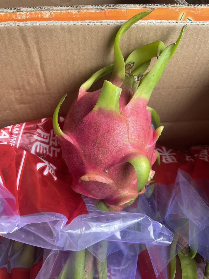 味鲜价廉，优质火龙果。