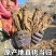 正宗岷县当归无熏硫，规格齐全，原产地发货，量大优惠欢迎合