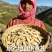 正宗岷县黄芪，规格齐全，原产地发货，量大优惠欢迎合作