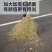 大扫把脱叶手工编织硬枝无叶耐磨耐用可对接商超市场欢迎