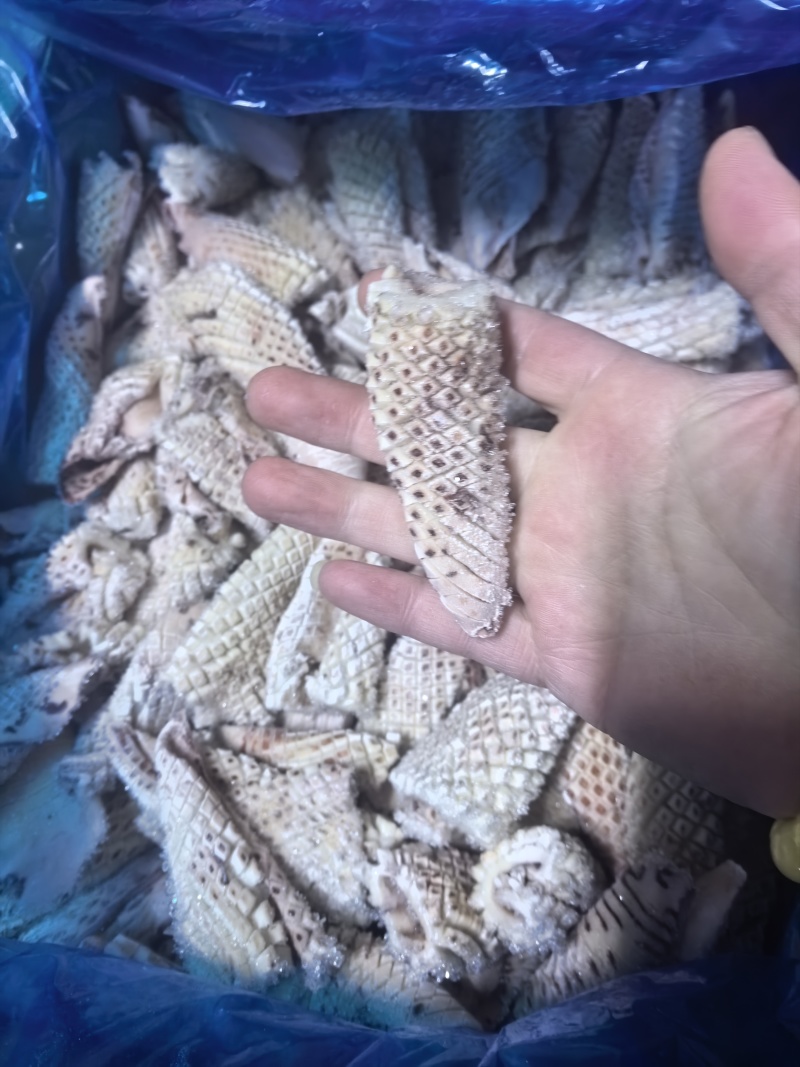 鱿鱼花，清库存，自助餐可用