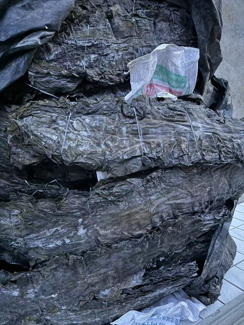 福建精品干海带，产地一手货源，全国发货量大价优！