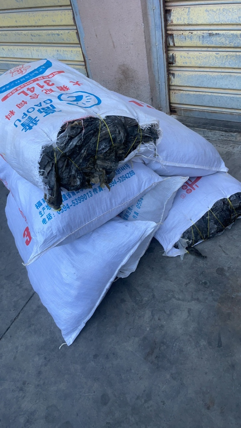 福建精品干海带，产地一手货源，全国发货量大价优！