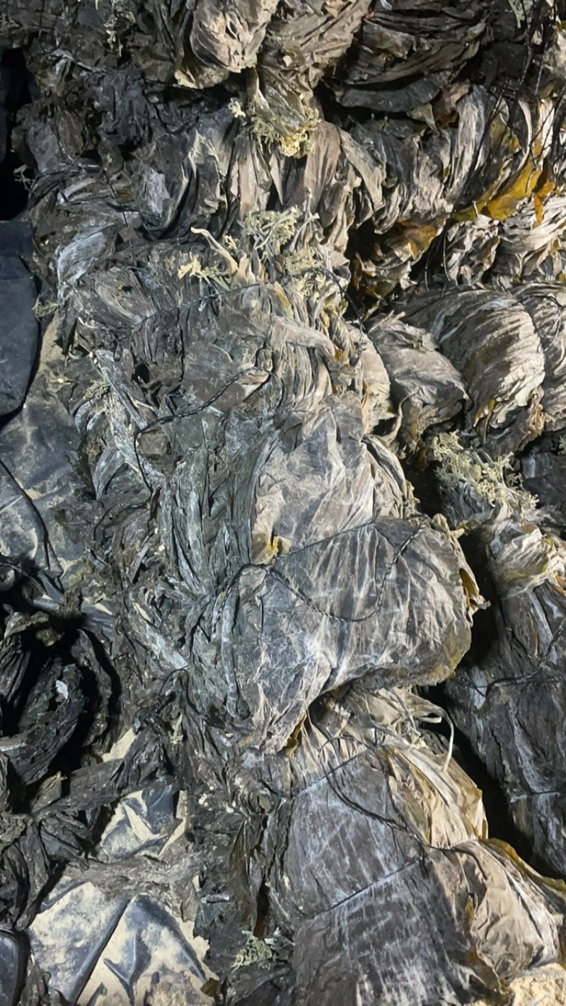 福建精品干海带，产地一手货源，全国发货量大价优！