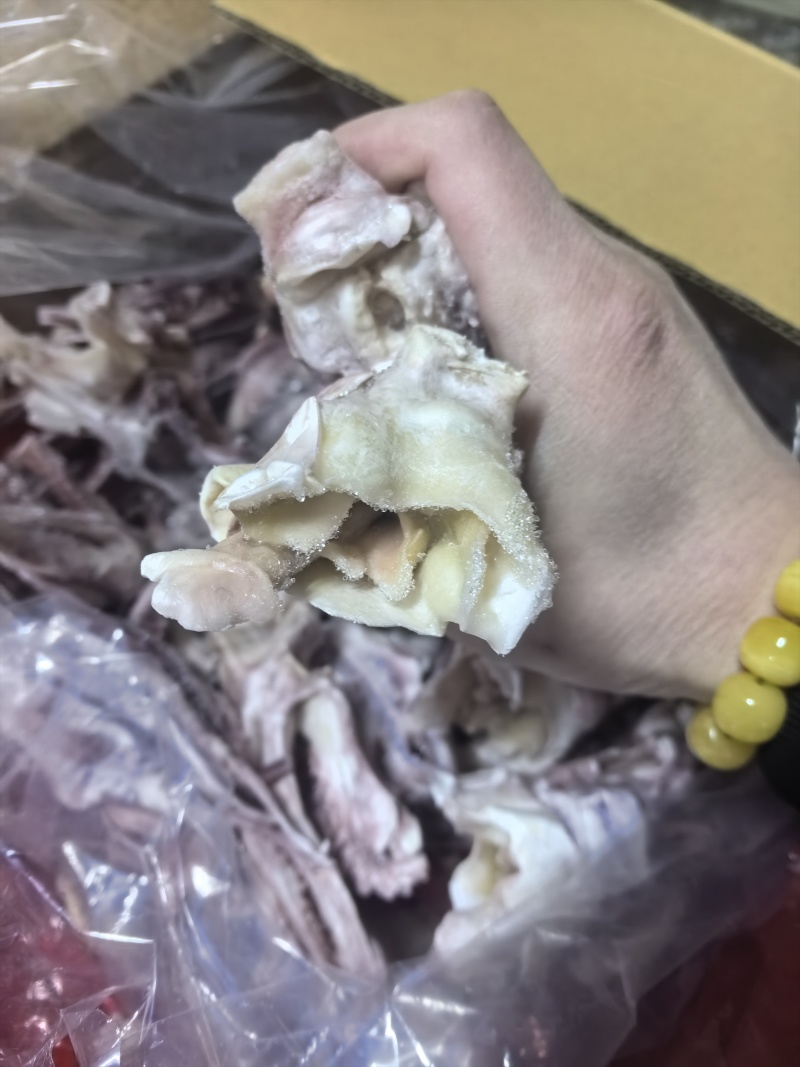 脆口鱿鱼头清库存货