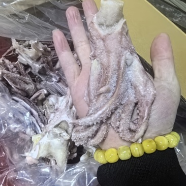脆口鱿鱼头清库存货