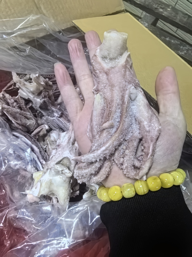 脆口鱿鱼头清库存货