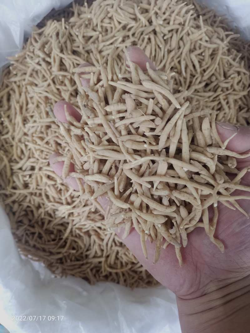 贵州太子参/全年有货/量大从优/自然晾晒/欢迎进店选购