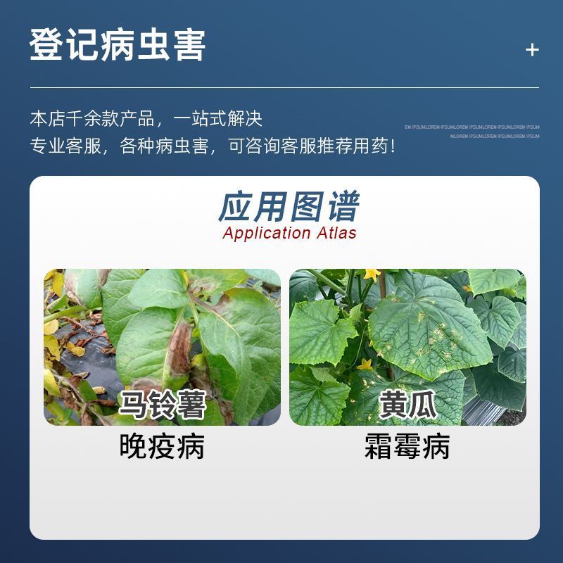 禾益丰挺壮40%王铜霜脲氰马铃薯黄瓜晚疫病霜霉病专用药杀