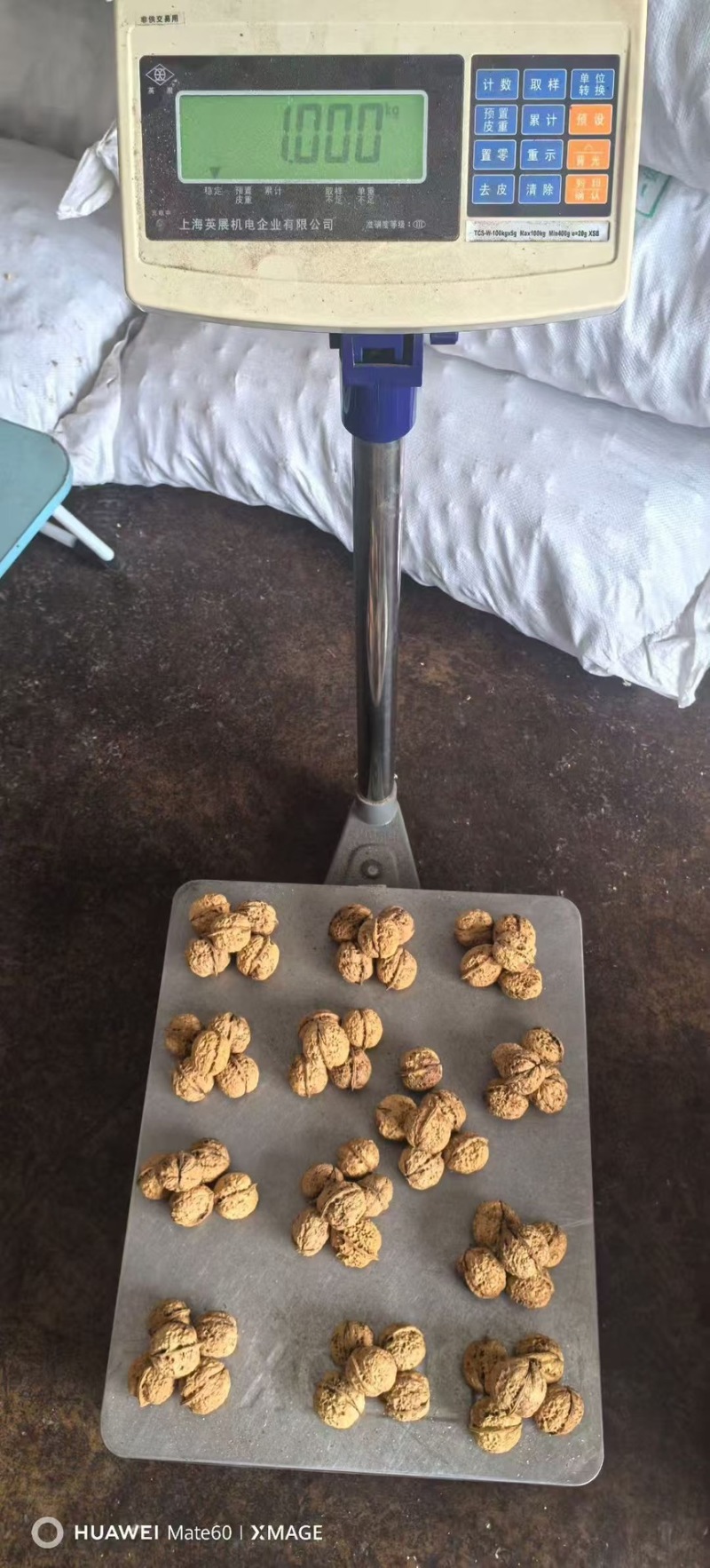 云南新货麻子果电商果个头大