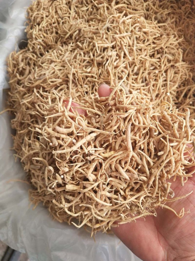 太子参/全年有货/量大从优/自然晾晒/欢迎进店选购