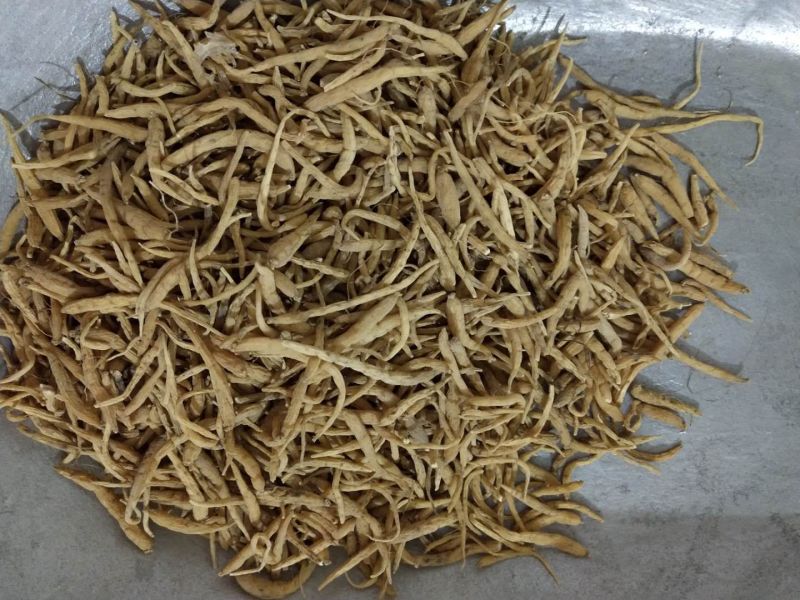 太子参/全年有货/量大从优/自然晾晒/欢迎进店选购