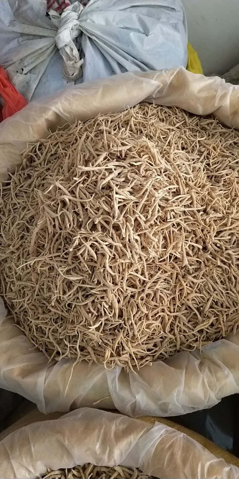 太子参/全年有货/量大从优/自然晾晒/欢迎进店选购